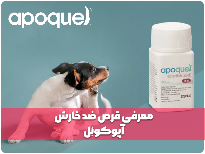 معرفی قرص ضد خارش آپوکوئل